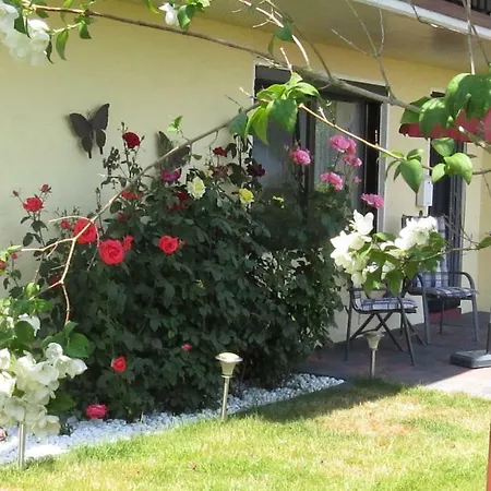 Panoramablick * Schleiden