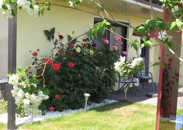 Panoramablick * Schleiden